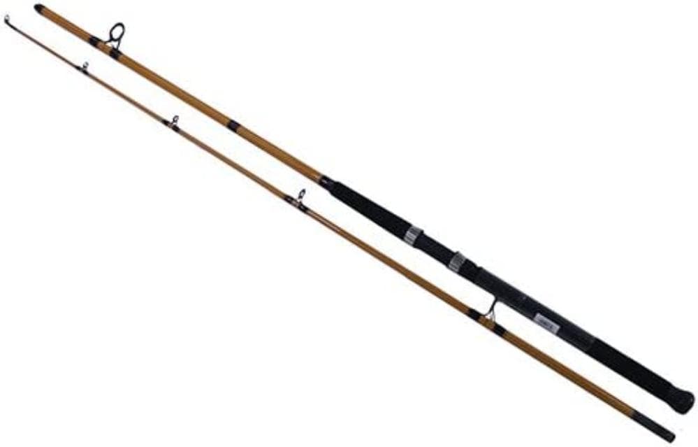 CAÑA SPINNING DAIWA FT SURF FTS802MFS — imagen 1