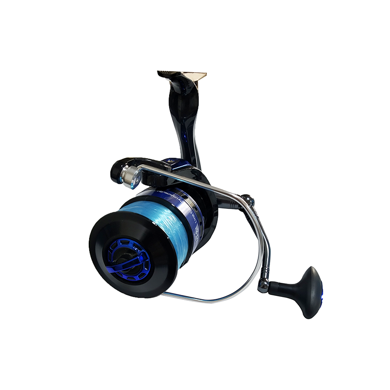 VICTORIA ASSANGO GP6000 — imagen 1