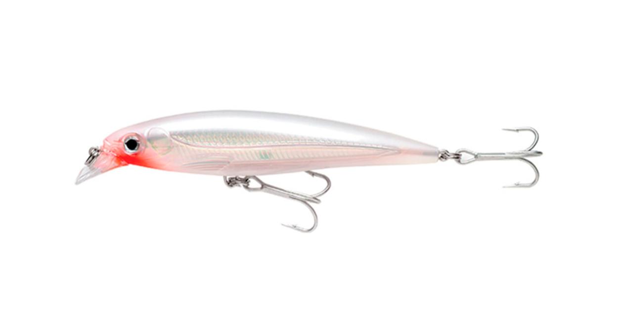 Señuelo para Pesca RAPALA X-Rap Salt 10 GGH — imagen 1