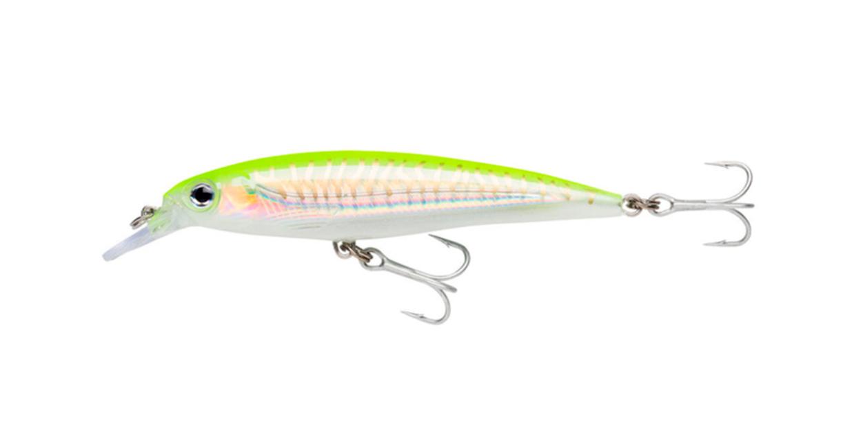 Señuelo para Pesca RAPALA X-Rap Salt 10 HCHU — imagen 1