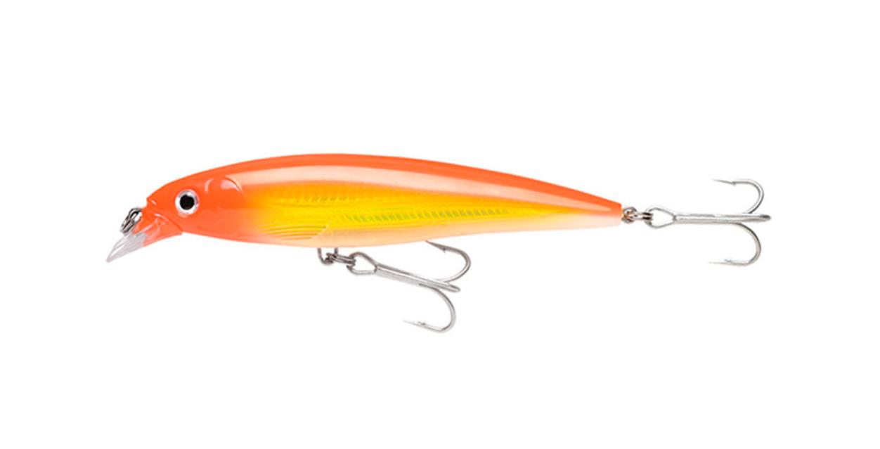 Señuelo para pesca RAPALA X-Rap Salt 10 HH — imagen 1