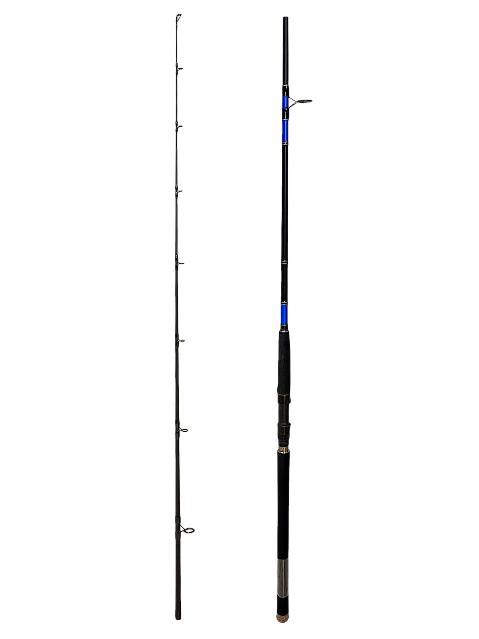 CAÑA SPINNING DAIWA Beefstick Surf BSS902MHS — imagen 1