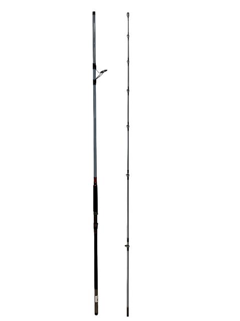 CAÑA SPINNING DAIWA Team Daiwa Surf TDSF1062MFS — imagen 1